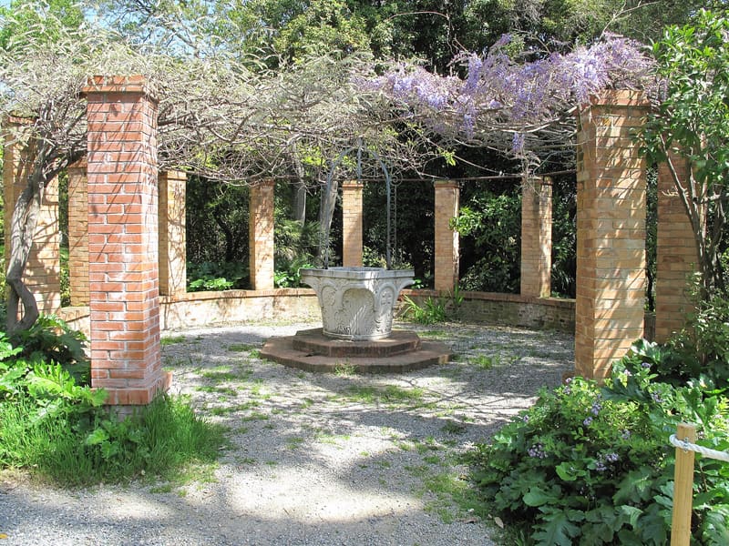 Foto di esempio: pergolato di glicine nei giardini di Villa Hanbury